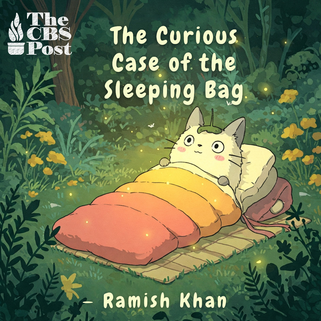 The Curious Case of the Sleeping Bag